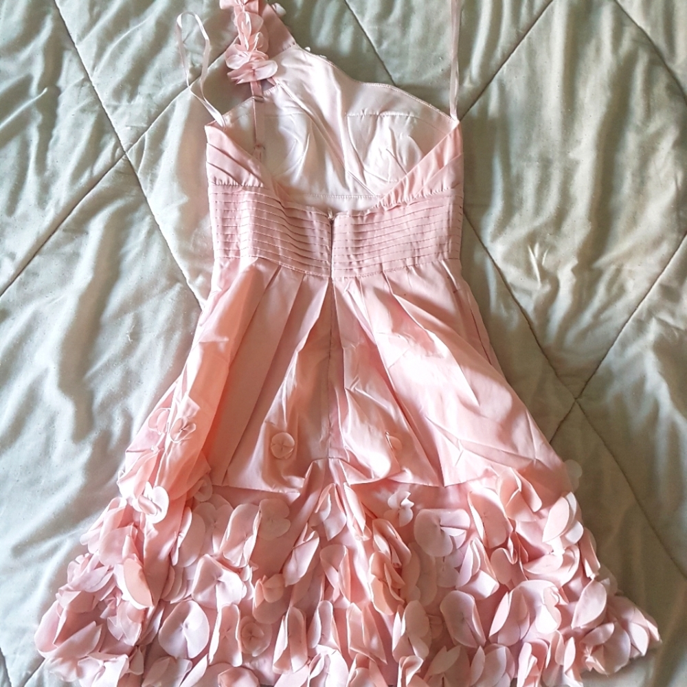 BCBG pastel pink cocktail dress